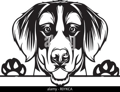 Chef de race bouvier bernois Pedigree isolé Animaux Portrait Smiling Happy face chiot Animal Cartoon Illustration Portrait Art Design mignon Illustration de Vecteur