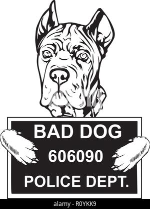 Cane Corso race de chien Pedigree isolés tête Animaux Portrait Smiling Happy face chiot Animal Cartoon Illustration Portrait Art Design mignon Illustration de Vecteur