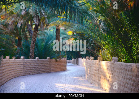 Chemin de ronde dans l'oasis d'Al Ain Banque D'Images