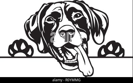 Braque Allemand race de chien Pedigree isolés tête Animaux Portrait Smiling Happy face chiot Animal Cartoon Illustration Portrait Art Illustration de Vecteur