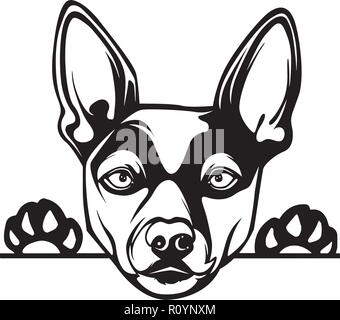 Race de chien terrier arbre isolé tête Animaux Portrait Smiling Happy face chiot Animal Cartoon Illustration Portrait Art Design mignon Illustration de Vecteur