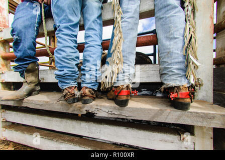 Prochaine ronde de rodeo rough rider concurrents aux côtés de leur chute dans l'attente de leur événement subséquente. Banque D'Images