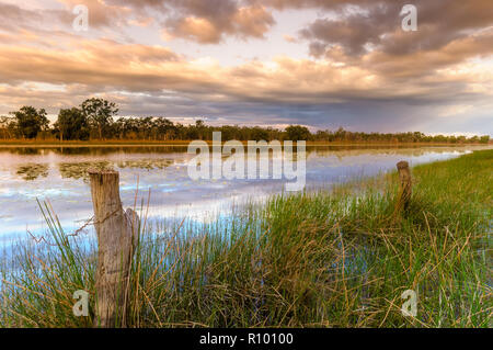 Coucher du soleil tombe sur la vieille ligne de clôture posts bordant un grand trou sur un outback cattle station de Cape York, dans le Queensland. Banque D'Images