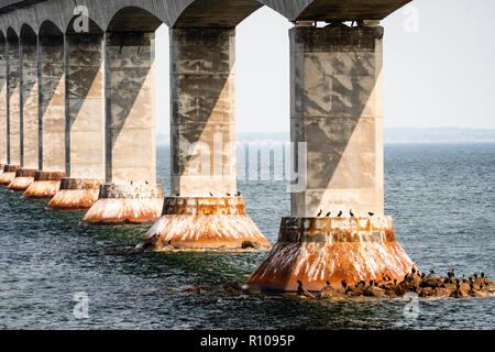 Le Pont de la Confédération qui traverse le détroit de Northumberland entre Cape Tormentine, au Nouveau-Brunswick, et Borden, Prince Edward Island, au Canada. Banque D'Images