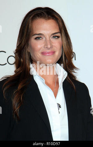 NEW YORK - 07 SEPTEMBRE : Modèle/Actrice Brooke Shields assiste à la Calvin Klein 40e anniversaire à la ligne élevée le 7 septembre 2008 à New York. (Photo par Steve Mack/S.D. Mack Photos) Banque D'Images