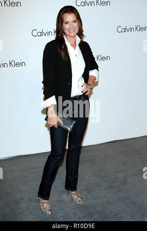 NEW YORK - 07 SEPTEMBRE : Modèle/Actrice Brooke Shields assiste à la Calvin Klein 40e anniversaire à la ligne élevée le 7 septembre 2008 à New York. (Photo par Steve Mack/S.D. Mack Photos) Banque D'Images