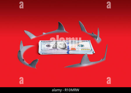 Fond rouge avec les requins tournant autour d'une pile de billets de Banque D'Images