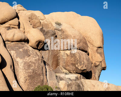 La forme de visages sculptés par le vent dans les rochers à Joshua Tree National Park, California, USA Banque D'Images