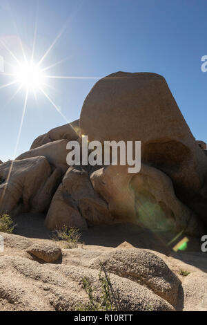 Point de vue de Joshua Tree National Park de l'Split-Rock Trail, en Californie, aux États-Unis. Banque D'Images