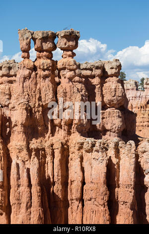 Avis de hoodoo formations de la boucle Navajo Trail à Bryce Canyon National Park, Utah, USA. Banque D'Images