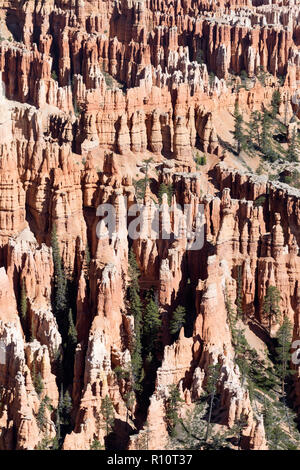 Avis de hoodoo formations dans l'Amphithéâtre de Bryce Canyon National Park, Utah, USA. Banque D'Images