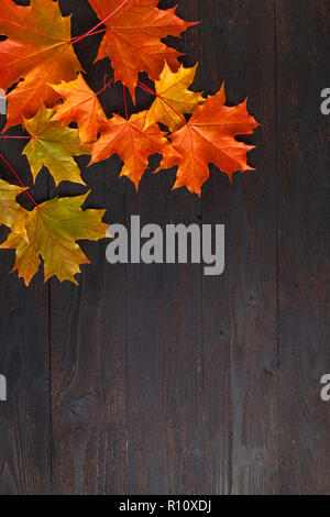 La composition des feuilles d'automne pour cadre photo. Copy space Banque D'Images