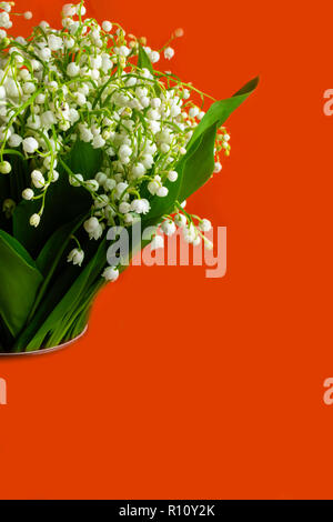 Printemps des Fleurs parfumées du muguet sur un fond orange. L'arrière-plan lumineux et juteuse de délicates fleurs de lis de la vallée. Lily mai Banque D'Images