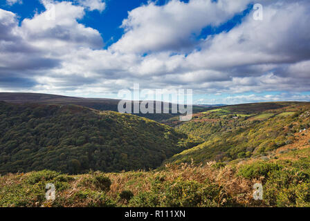 Une vue sur la gorge de la Dart sur le Dr Blackall de route à pied, Dartmoor National Park, Angleterre Banque D'Images