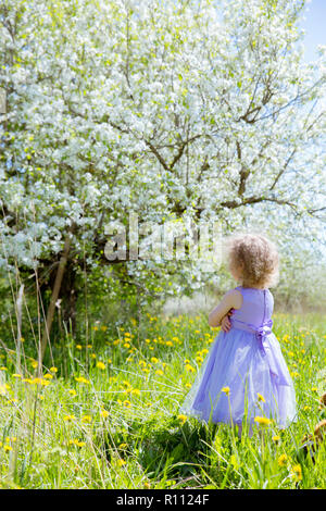 Jeune fille en robe violette est debout et a tourné le dos et faisant la moue, impressionnant de magnifiques fleurs de pommier sur fond blanc avec bl Banque D'Images