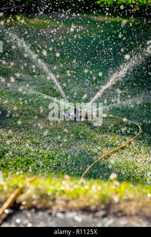 L'irrigation périphérique sprinkleur à l'irrigation des pelouses, l'arrosage de l'herbe en été, pendant la sécheresse. Banque D'Images