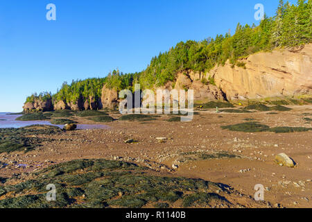 Hopewell Cape, Canada - 24 septembre 2018 : Avis de Hopewell Rocks à marée basse, avec les visiteurs. New Brunswick, Canada Banque D'Images