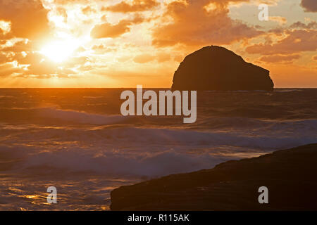 Trebarwith Strand au coucher du soleil et Gull Rock, Cornwall, Angleterre, Grande-Bretagne Banque D'Images