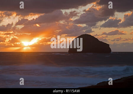 Trebarwith Strand au coucher du soleil et Gull Rock, Cornwall, Angleterre, Grande-Bretagne Banque D'Images