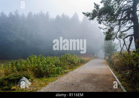 La fin de l'automne première hiver gel en montagne - magnifique paysage sous un ciel bleu et de brouillard mystérieux Banque D'Images