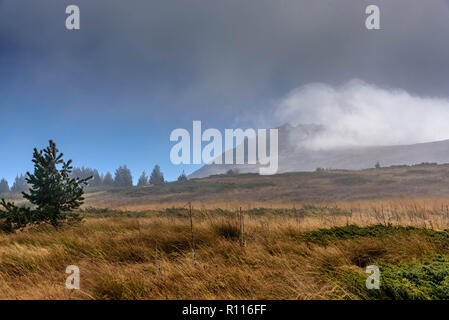 La fin de l'automne première hiver gel en montagne - magnifique paysage sous un ciel bleu et de brouillard mystérieux Banque D'Images