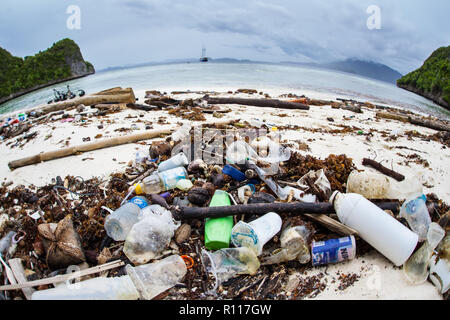 Jeter les bouteilles en plastique ont échoué sur une plage éloignée de Raja Ampat, en Indonésie. Les matières plastiques se décomposent en petits morceaux et entrer dans la chaîne alimentaire. Banque D'Images