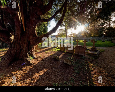 Churchyard, Fyfield, Oxfordshire, UK Banque D'Images