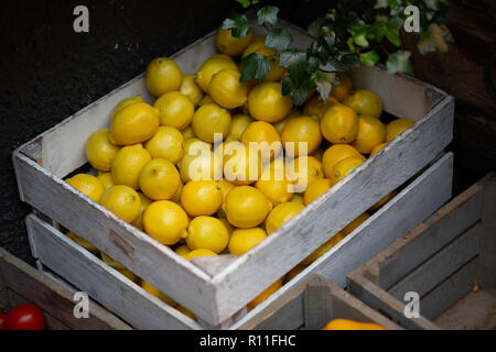 Une caisse de citrons en vente dans un magasin Banque D'Images