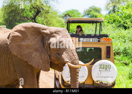 Arusha, Tanzanie - 24 janvier, 2018- Safari véhicules dans le parc national du lac Manyara. Lake Manyara National Park est un parc national situé en Tanzanie Banque D'Images