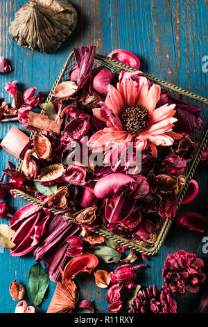 Mise à plat sur fond de fleurs et d'herbes sèches, allongé sur une vieille planche de bois bleu, à la verticale. Banque D'Images