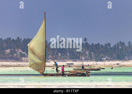 Jambiani, Zanzibar, Tanzanie - le 20 janvier 2018 : les pêcheurs prparing pour dhow voyage. Jambiani, Zanzibar, Tanzanie. Banque D'Images