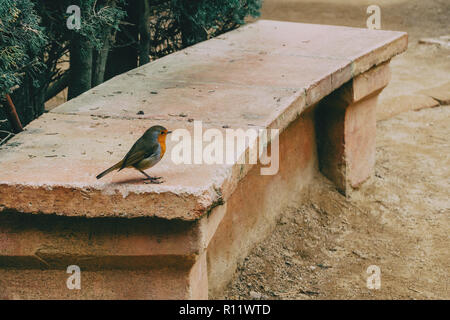 Close-up d'un petit oiseau sur un banc en pierre dans le parc Banque D'Images