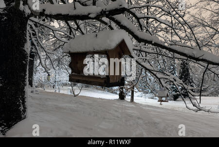 Belle nuit Stryjskyj hiver parc dans le centre-ville de Lviv (Ukraine) avec des arbres couverts de neige et oiseau rack. Banque D'Images