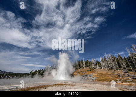 WY03599-00...WYOMING - Grand geyser Old Faithful dans le domaine du Parc National de Yellowstone. Banque D'Images