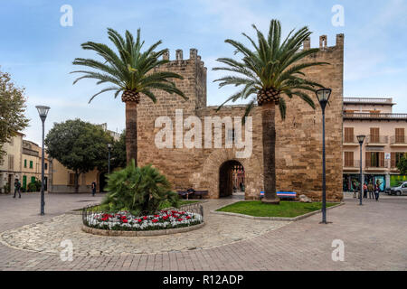 Alcudia, Majorque, Iles Baléares, Espagne, Europe Banque D'Images