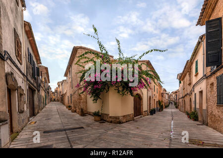 Alcudia, Majorque, Iles Baléares, Espagne, Europe Banque D'Images