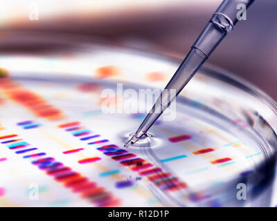 Ajouter à la pipette d'échantillonnage pétri avec de l'ADN adulte en arrière-plan Banque D'Images