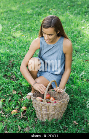 Woman picking up apples on grass Banque D'Images