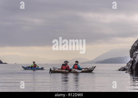 Kayak d'amis dans le lac, le détroit de Johnstone, Telegraph Cove, Canada Banque D'Images