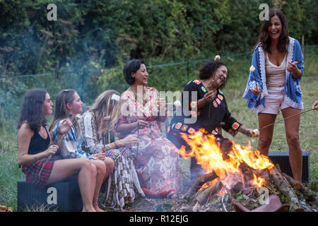 Amis de feu parti au park Banque D'Images