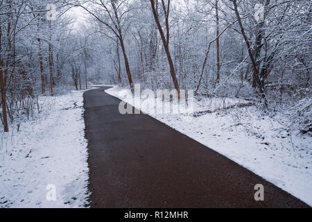 A Winter Wonderland - un sentier serpente à travers une forêt couverte de neige dans le parc de la rivière Clinton, Sterling Heights, du sud-est du Michigan, USA Banque D'Images