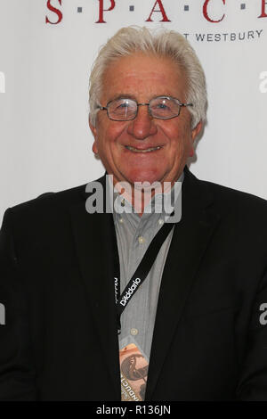 Westbury, New York, USA. 8Th Nov 2018. Musicien Glenn Drewes assiste à la 2018 Long Island Music Hall of Fame de la cérémonie à l'espace à Westbury le 8 novembre 2018 à Westbury, New York. Credit : AKPhoto/Alamy Live News Banque D'Images