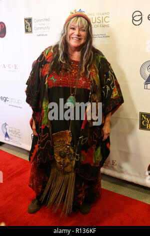 Westbury, New York, USA. 8Th Nov 2018. Singer Melanie Safka assiste à la 2018 Long Island Music Hall of Fame de la cérémonie à l'espace à Westbury le 8 novembre 2018 à Westbury, New York. Credit : AKPhoto/Alamy Live News Banque D'Images