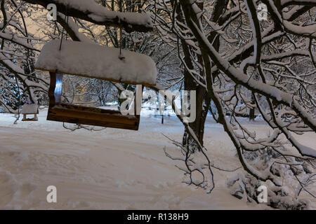 Belle nuit Stryjskyj hiver parc dans le centre-ville de Lviv (Ukraine) avec des arbres couverts de neige et oiseau rack. Banque D'Images