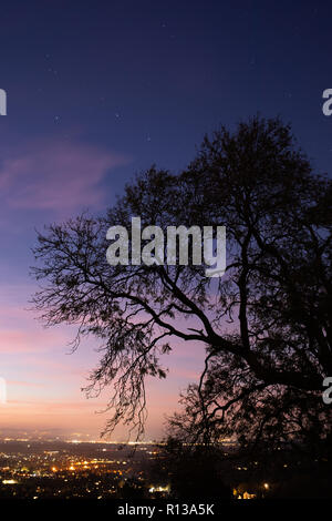 La silhouette d'un arbre en vue de Cheltenham, Gloucestershire derrière elle au crépuscule. Banque D'Images