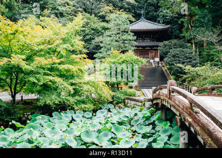 Temple de Chion-in et de l'été jardin vert à Kyoto, Japon Banque D'Images