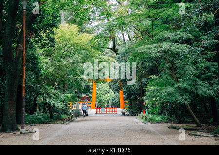 Sanctuaire Shimogamo-jinja de torii et forêt à Kyoto, Japon Banque D'Images