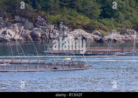 Près de l'élevage du saumon de Bergen, Norvège. Banque D'Images