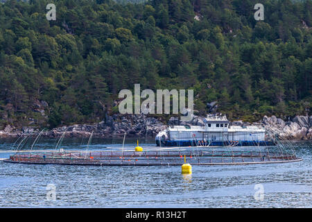 Près de l'élevage du saumon de Bergen, Norvège. Banque D'Images
