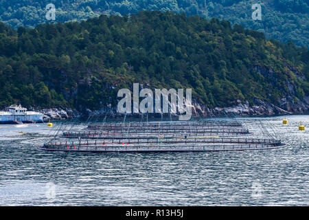 Près de l'élevage du saumon de Bergen, Norvège. Banque D'Images